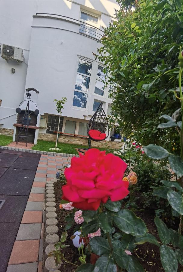 Fitness House With Garden Otel Köstence Dış mekan fotoğraf